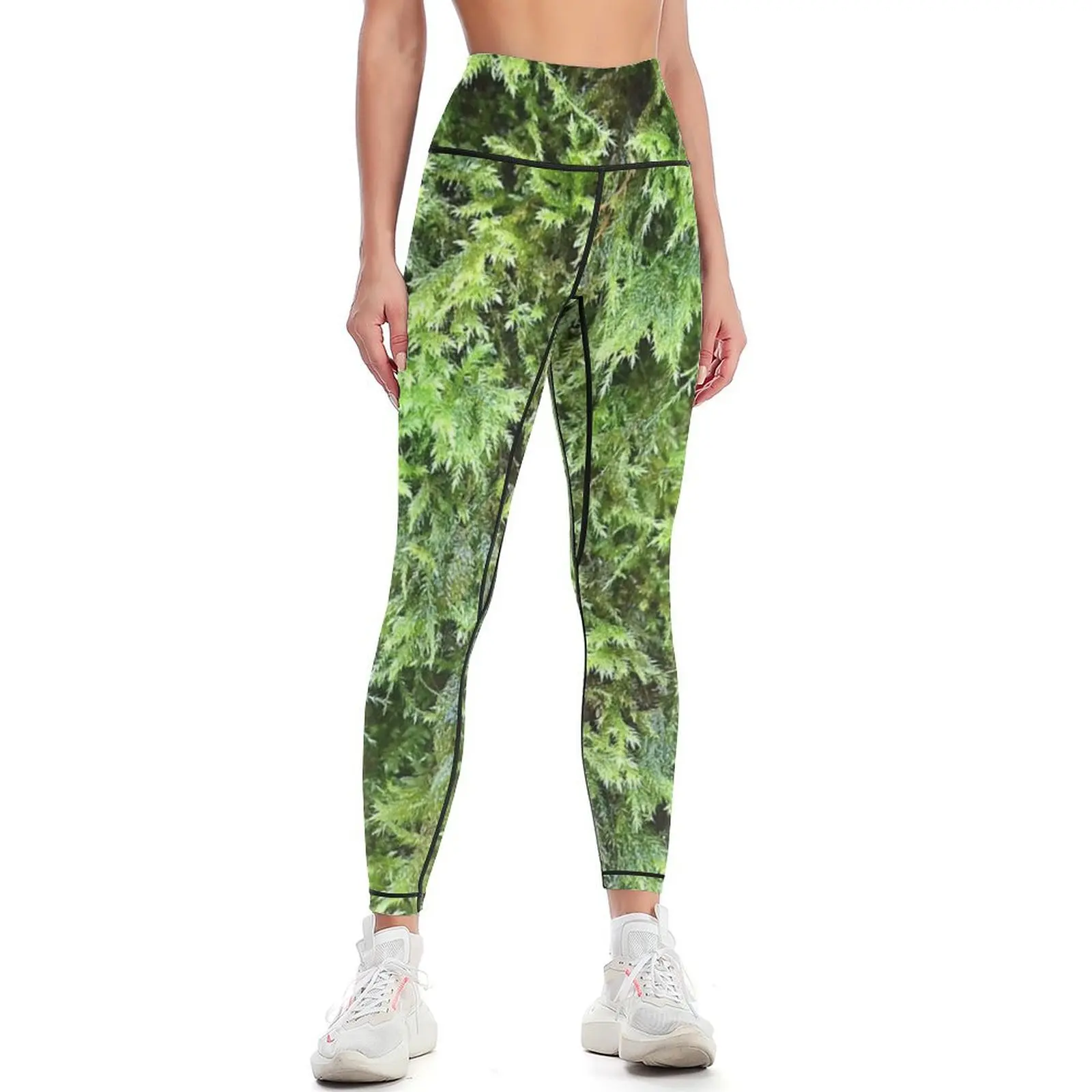 Photography Yoga - Fotografia de musgo 1 Leggings Calças