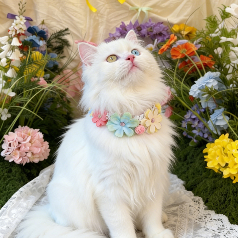 Coleira de Gato com Flores Col - Photography Basics avaliação e preço