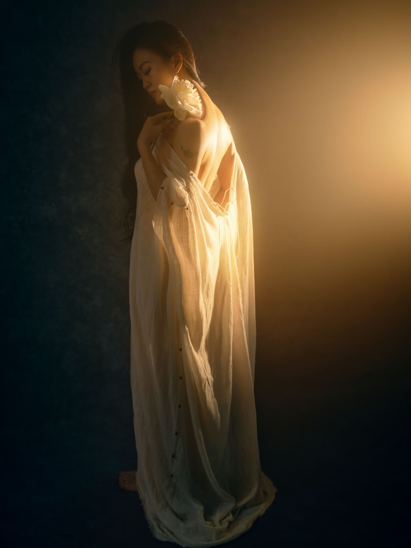 Vestido Elegante Sem Costas Es - Photography Zen avaliação e preço